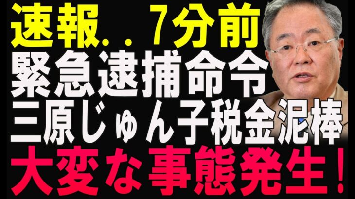 【緊急事態】税金泥棒!? 三原じゅん子と子ども家庭庁の恐るべき利権構造が明るみに
