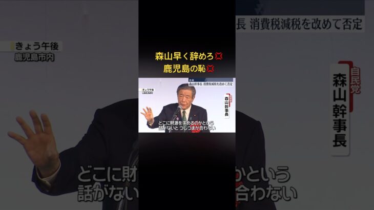 森山は早く辞めろ💢#自民党 #森山幹事長 #税金