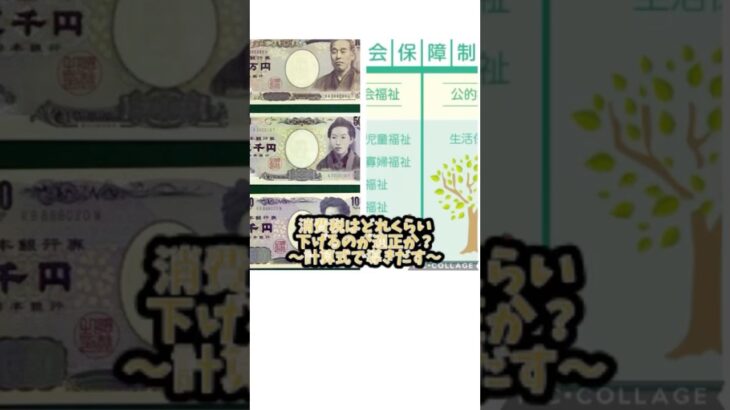 消費税減税はどれくらいが適正なのか？〜計算式で導き出す〜 #日本経済新聞社 #消費税#消費税減税 #ニュース
