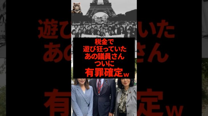 税金で遊び狂っていたあの議員さん、ついに有罪確定しましたｗ