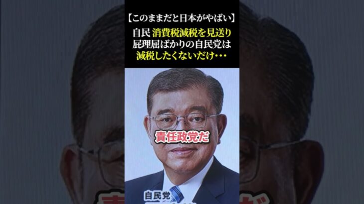 【このままだと日本がやばい】自民 消費税減税を見送り 屁理屈ばかりの自民党は減税したくないだけ・・・#自民党 #石破茂 #財務省 #減税 #消費税