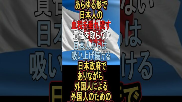 石破首相 消費税減税に慎重姿勢　#物価高対策　#減税　＃売国奴　#自民党　 #消費税減税　＃石破総理