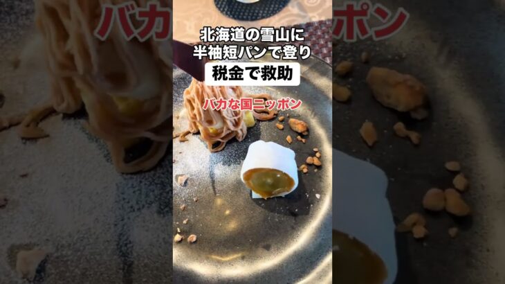 【批判】雪山に半袖で登ったカップルを税金で救助