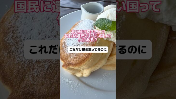 これだけ税金取って国民に還元されない国って他にある？