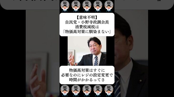 【意味不明】自民党・小野寺政調会長、消費税減税は「物価高対策に馴染まない」…に対する世間の反応
