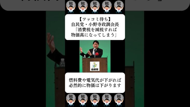 【ツッコミ待ち】自民党・小野寺政調会長「消費税を減税すれば物価高になってしまう」…に対する世間の反応
