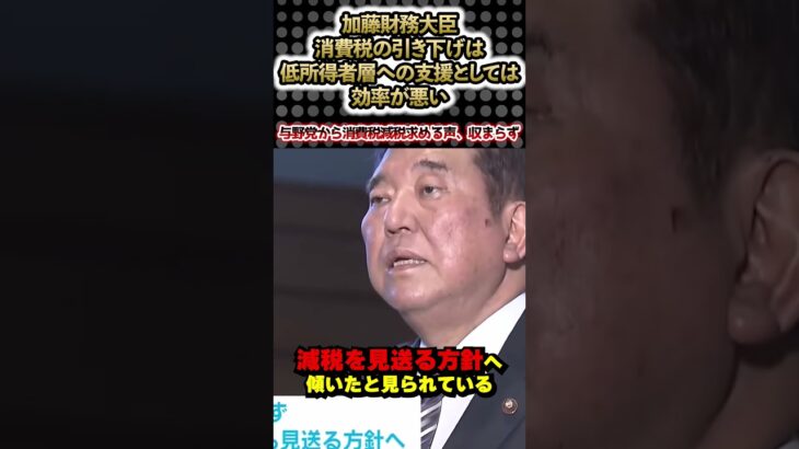 加藤財務大臣、消費税減税は低所得者への支援としては乏しいと主張。しかし与野党からは消費税減税の声収まらず