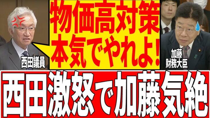 【税金泥棒】物価高で国民が苦しくても何もしない政府にブチギレ！【国会/自民党/福田議員/石破茂/政治】