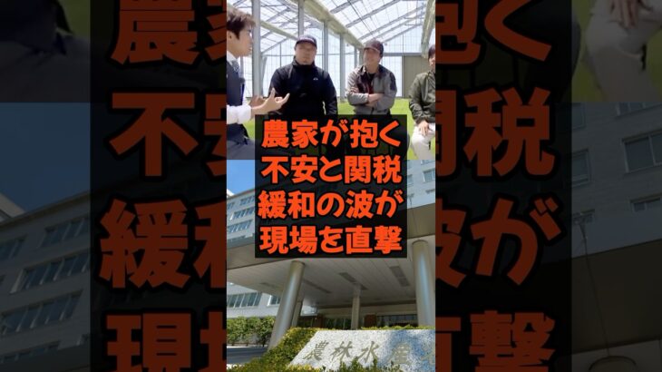 農家が抱く不安と関税緩和の波が現場を直撃 #農水大臣 #農家 #農林水産省 #税金 #政治 #農協