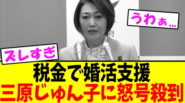 三原じゅん子、突然の緊急発表→税金で恋愛支援！？【少子高齢化 こども家庭庁】