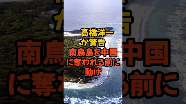 高橋洋一が警告 南鳥島が中国に奪われる日#百姓一揆 #農家 #農林水産省 #税金 #政治 #消費税 #レアアース