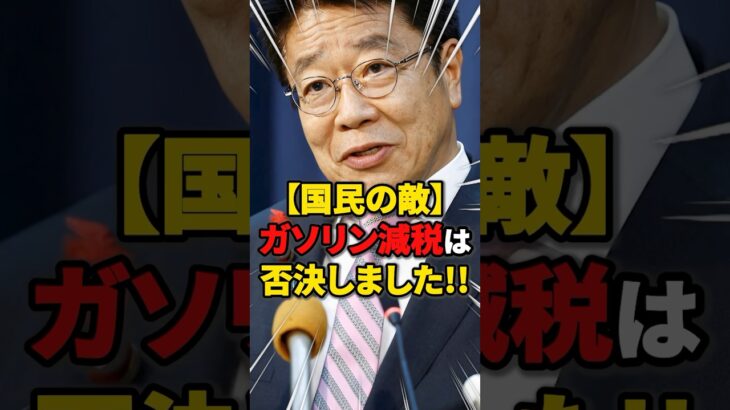 【国民の敵】ガソリン減税は否決しました!! #雑学 #ニュース #税金 #自民党