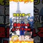 【ゆっくり解説】税金を使って豪遊した議員がついに逮捕されるようですｗｗ #自民党 #石破茂 #高市早苗 #国民民主党 #玉木雄一郎 #財務省 #立憲民主党 #れいわ新選組