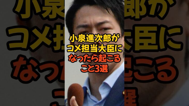 小泉進次郎「米担当大臣に全力尽くす」に農家困惑#百姓一揆 #農家 #農林水産省 #税金 #政治 #消費税