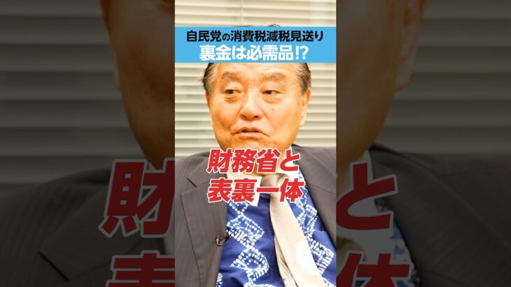 【自民党 消費税減税見送り】「裏金」は必需品!?