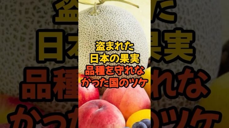 農家の涙…果実の技術盗難を放置した国#百姓一揆 #農家 #農林水産省 #税金 #政治 #消費税 #種苗法