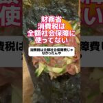 財務省「消費税は全額社会保障に使ってない」