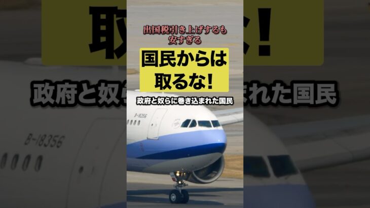 〇〇税引き上げするも安すぎる‼︎💢政府と奴らに巻き込まれた国民😡#石破茂 #出国 #税金 #インバウンド