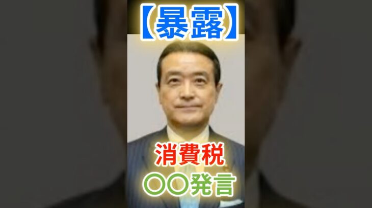 【暴露】江田議員が消費税の〇〇について衝撃発言!!