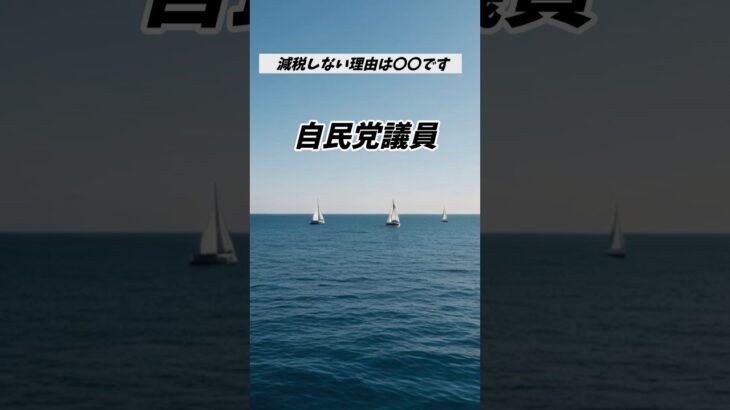 【衝撃】自民党議員が減税をしない理由を明かす