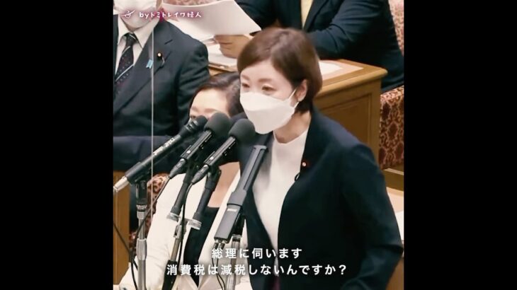【消費税減税を考えない自民党と改憲派】大石あきこ/れいわ新選組が主導した消費税減税とインボイス廃止法案/国会中継/増税メガネ/岸田文雄前首相