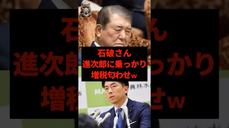 石破首相『コメ価格下がるなら税金で補填します』←は？
