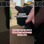 【怒り】財源が足りないじゃなくて税金の使い方が悪い💢