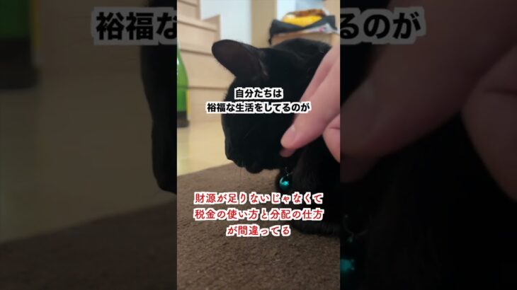 【怒り】財源が足りないじゃなくて税金の使い方が悪い💢