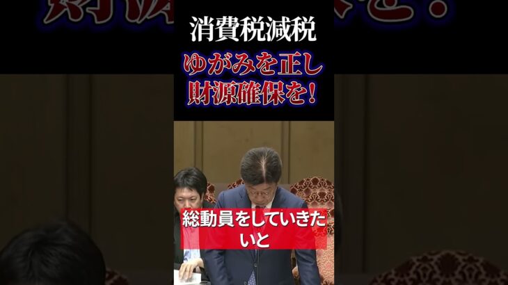 【消費税減税】財源確保し即座に実現を！#日本政治　#政治　#生活苦　#国民生活　#消費税　#減税 #消費税減税 #食糧難 #飢餓#財務省　#罪務省　#ザイム真理教 #日本共産党 #小池晃