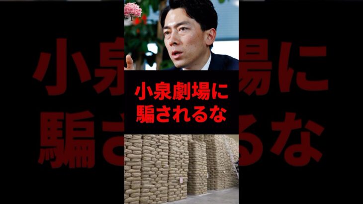小泉進次郎劇場に騙されるな！税金を何だと思ってるの😡 #自民党 #小泉進次郎 #備蓄米