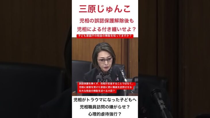無駄無駄無駄！子ども家庭庁の税金浪費？児童相談所の無意味な付き纏いを制度化？#三原じゅん子 #子ども家庭庁