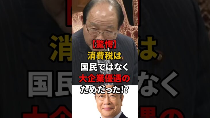 【驚愕】消費税は国民ではなく大企業優遇のためだった!?