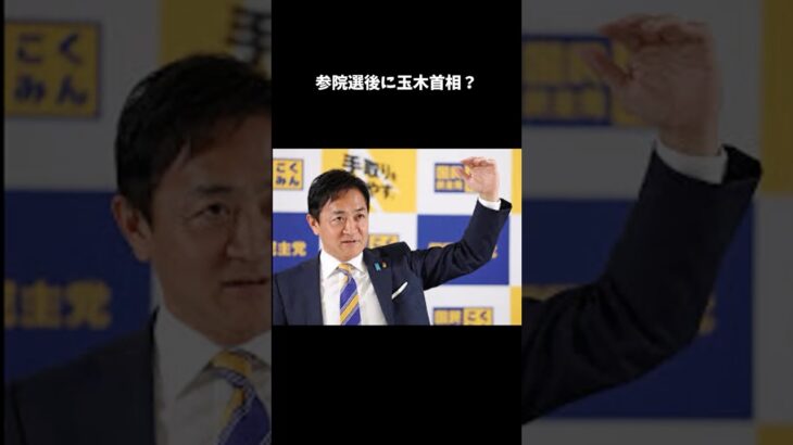 【国民民主】参院選後に「玉木首相」？#ニュース #ゆっくり解説 #政治 #税金  #選挙 #国民民主党 #切り抜き
