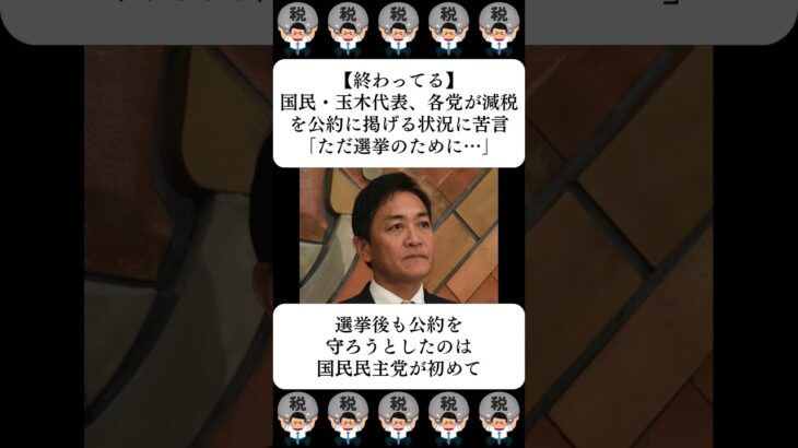 【終わってる】国民・玉木代表、各党が減税を公約に掲げる状況に苦言「ただ選挙のために…」…に対する世間の反応