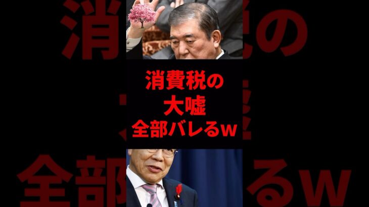 消費税の大嘘、全部バレる！社会保障のためなんて真っ赤なウソ！ #石破茂 #自民党 #財務省 #消費税