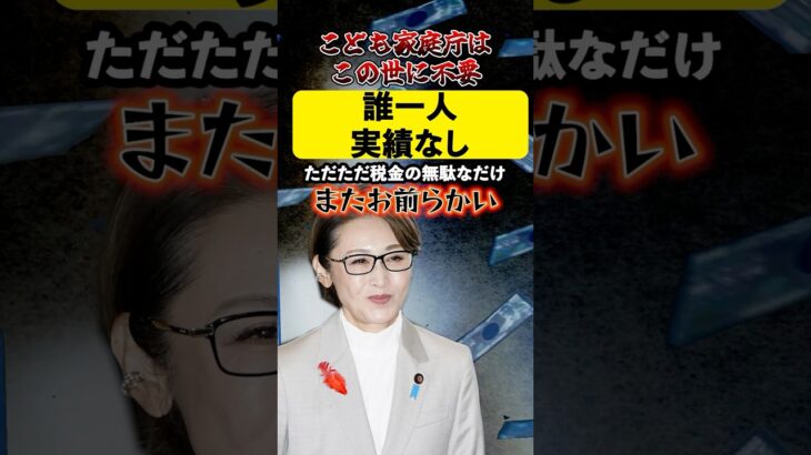 こども家庭庁はこの世に必要なし！！ただただ税金の無駄なだけ！#自民党 #こども家庭庁 #三原じゅん子