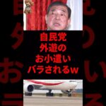 自民党員さん、税金でお小遣い付きの海外旅行行ってたw #石破茂 #自民党
