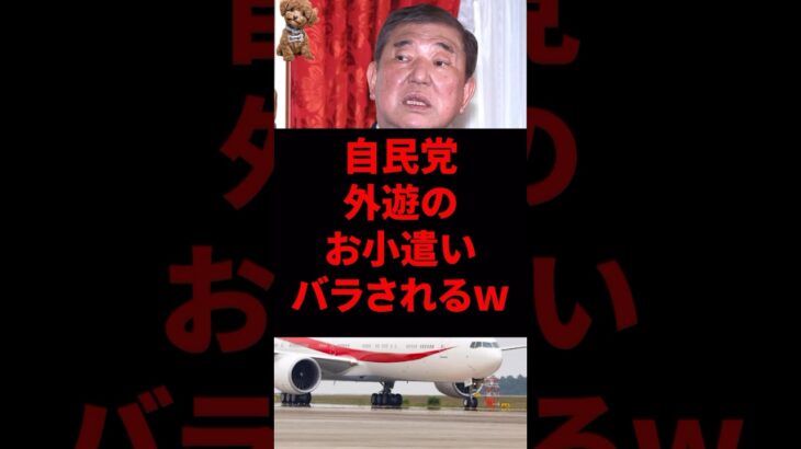 自民党員さん、税金でお小遣い付きの海外旅行行ってたw #石破茂 #自民党
