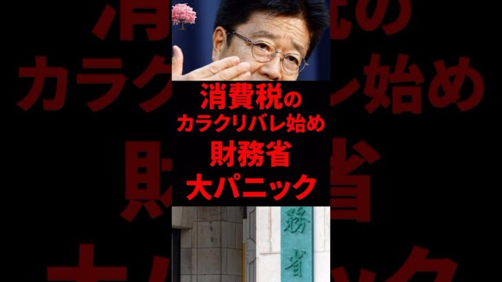 財務省、消費税のカラクリがバレそうになって大焦りw国民の生活が豊かになるように、色々と考えることが政治家のお仕事だと思っていたけれど。。。 #石破茂 #自民党　#消費税 #財務省