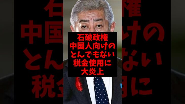 【悲報】石破政権、中国人向けのとんでもない税金使用に大炎上w