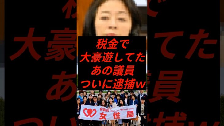 税金で大豪遊していたあの議員がついに逮捕ww #shorts #政治 #広瀬めぐみ
