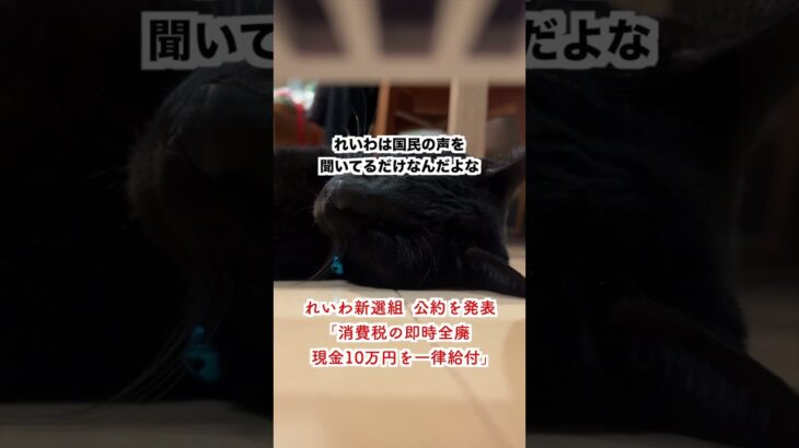 【物議】れいわ新選組 公約を発表「消費税の即時全廃・現金10万円を一律給付」