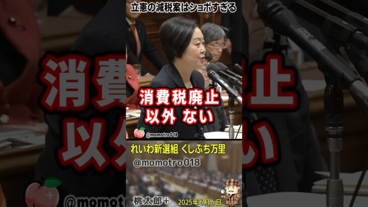 『立憲民主党の食料品のみ消費税ゼロは、消費税廃止に比べてショボすぎる。しかも1年間限定、つまりは1年後に消費税増税になる』れいわ新選組 くしぶち万里が ザイム真理教の緊縮政党をガン詰め。
