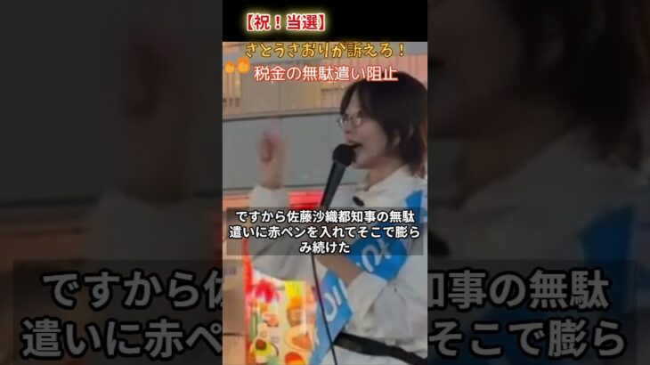 小池都知事に「赤ペン」を！税金1億6千万円を取り戻す戦い#都知事選#小池都知事#税金の無駄遣い#二元代表制#都議会#千代田区#政治改革#選挙#都民ファースト#家計支援