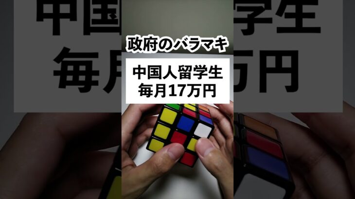 中国人留学生に莫大な税金が流れている実態！毎月17万円の奨学金、学費の免除、家賃補助など至れり尽くせり…