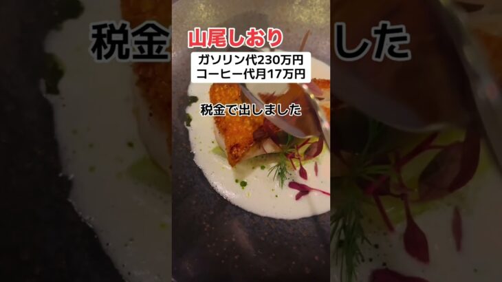 山尾しおり「コーヒー代月17万円税金で使いました」