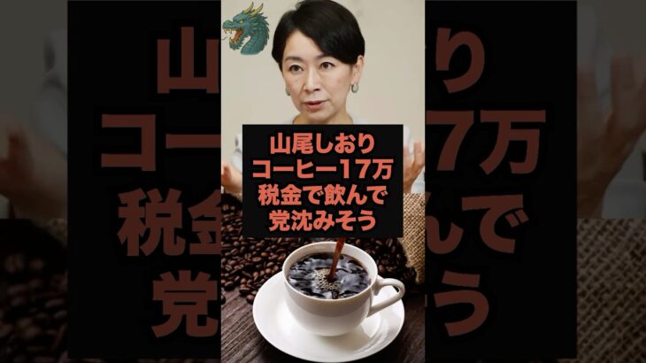 【草】山尾しおりコーヒー17万税金で飲んで党沈みそう#石破茂#shorts#国民民主党#玉木雄一郎