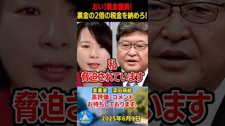 【深田萌絵】裏金議員には2倍の税金を払ってもらいましょう！脅迫もされています！#深田萌絵 #政治 #減税