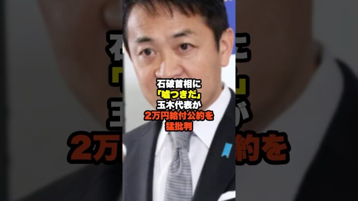 玉木代表「嘘つきだ」「税金で票を買うな」 が 2万円給付公約を石破首相を猛批判#国民民主党#玉木雄一郎#石破茂#自民党