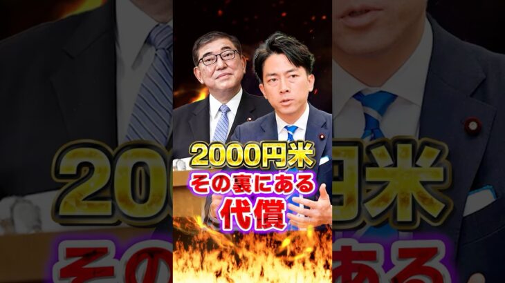 【備蓄米】2000円米 その裏にある代償　#石破茂 #政治 #ニュース #税金 #備蓄米 #小泉